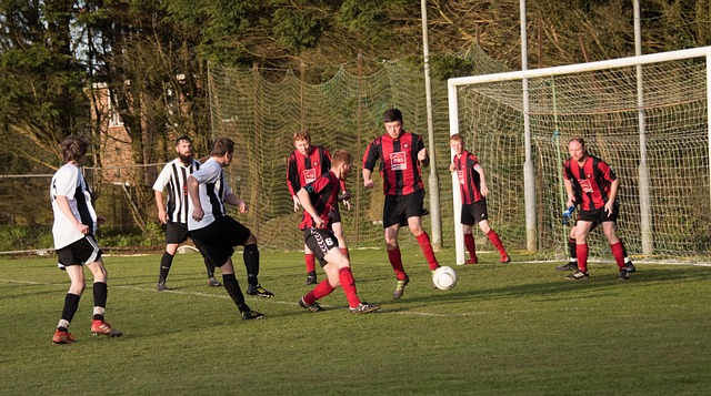 活的战术调 活的战术调