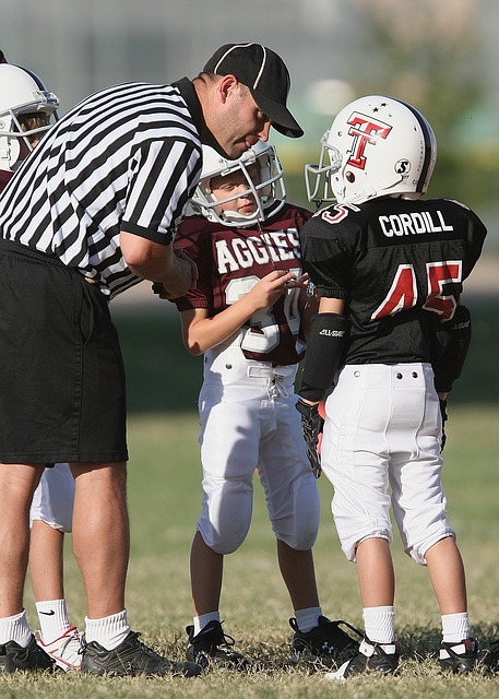 他们的努力 他们的努力