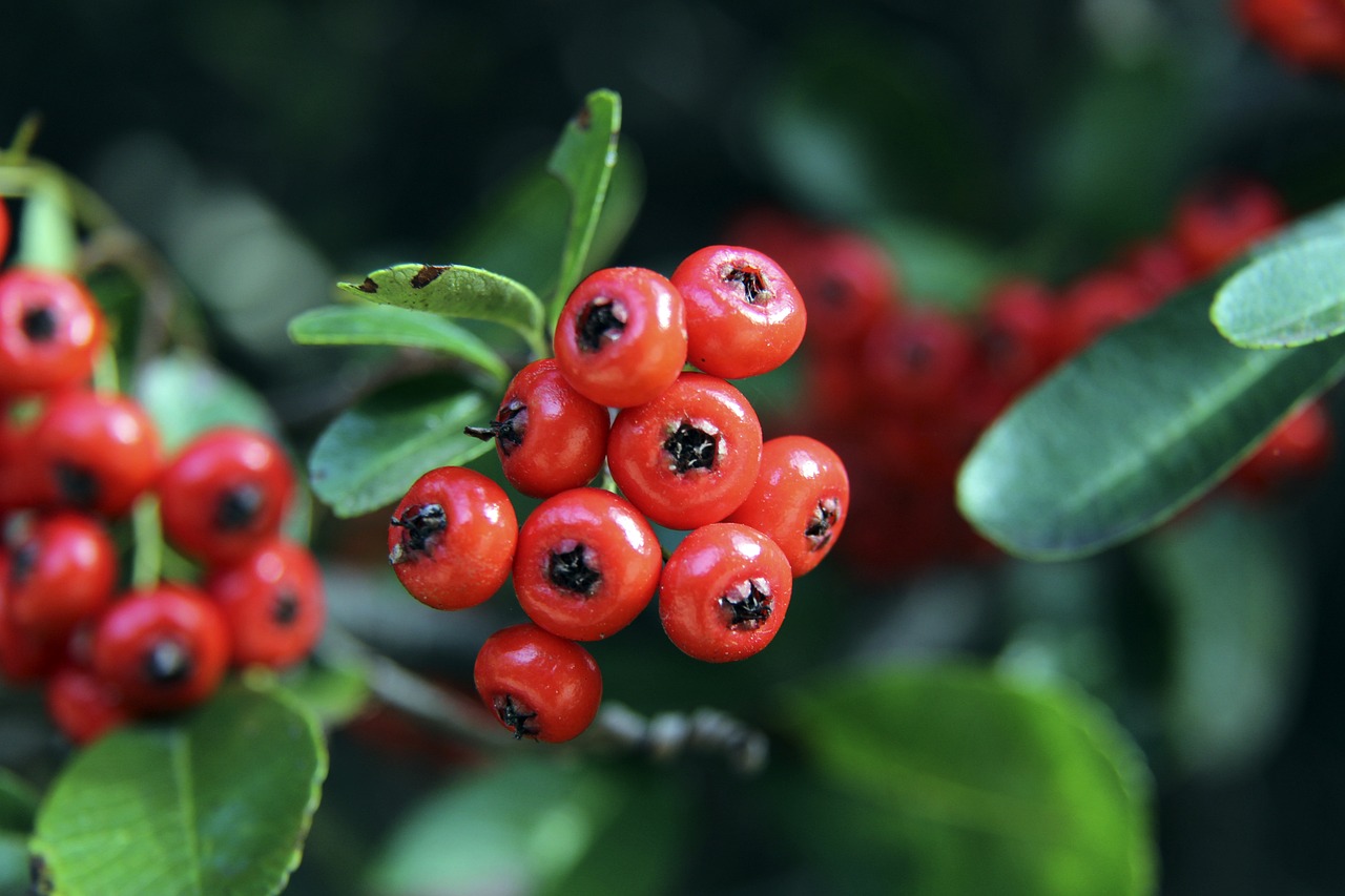 高压下保持 高压下保持