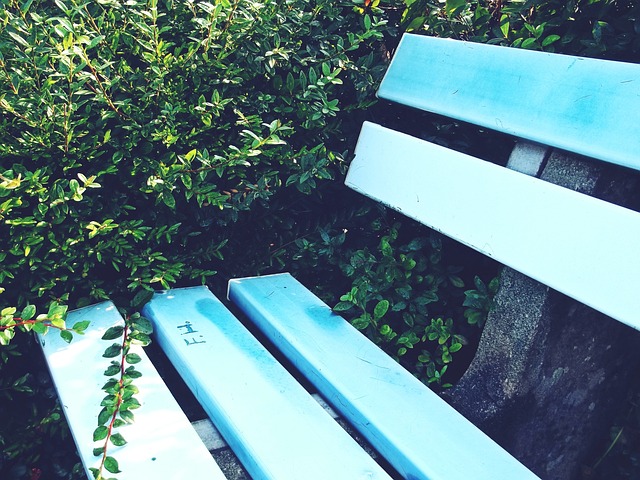 協的罰款 協的罰款